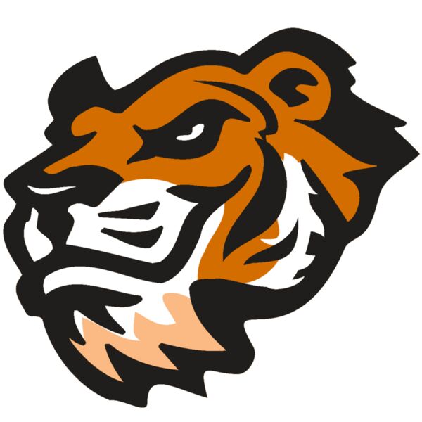 AR TIGER 21 RC Thumbnail